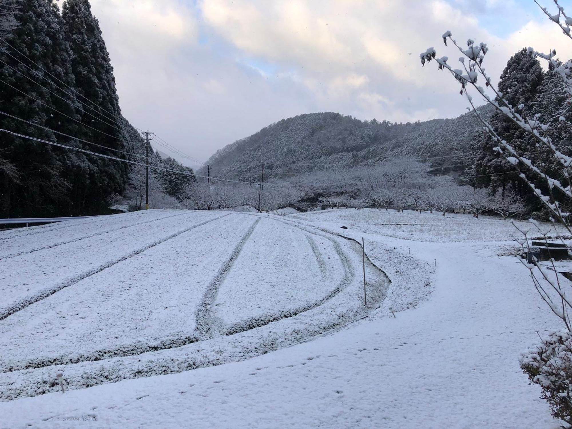 Satoyama Hotel Kanenone Tamba Maibara Eksteriør billede