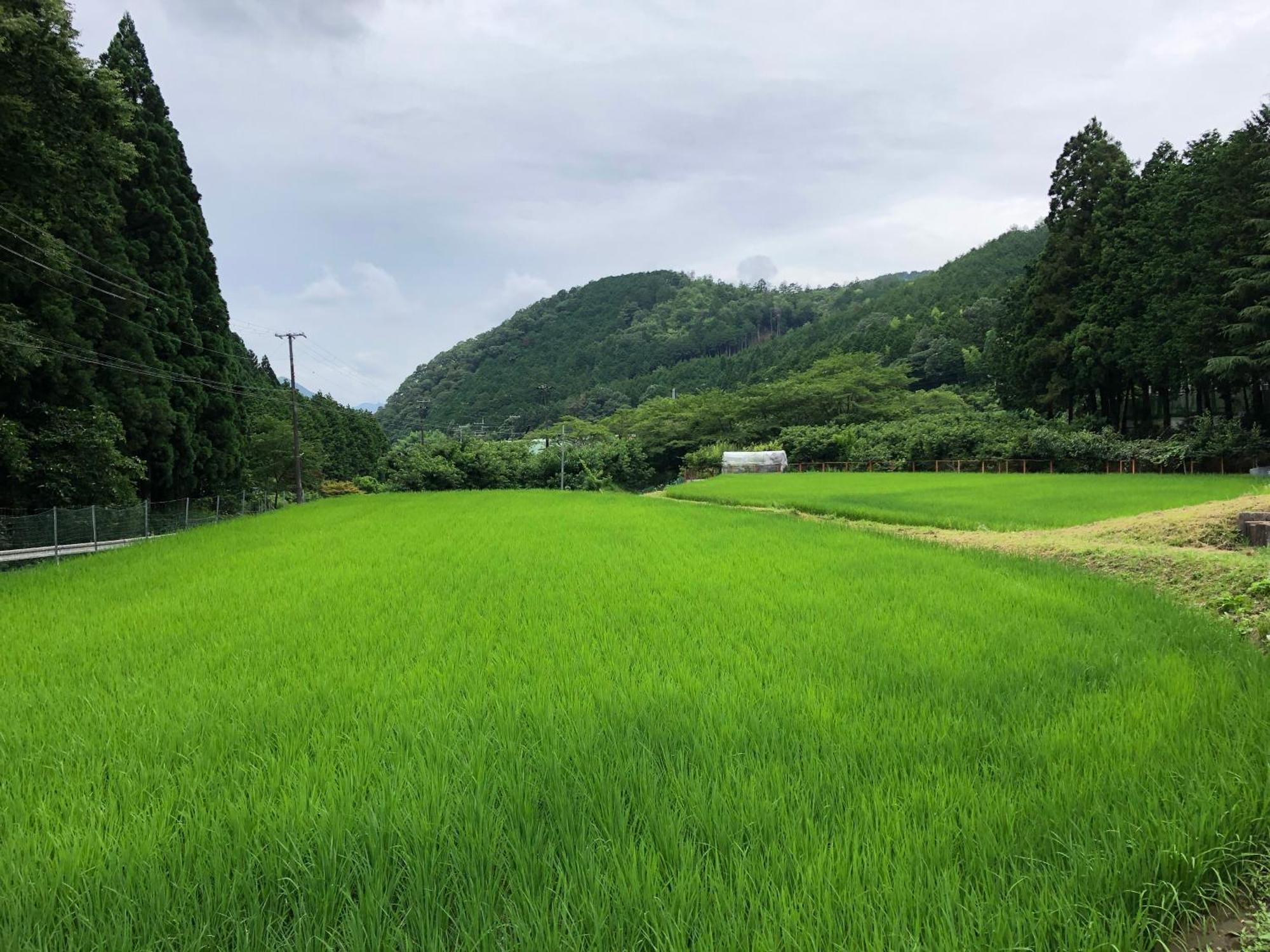 Satoyama Hotel Kanenone Tamba Maibara Eksteriør billede