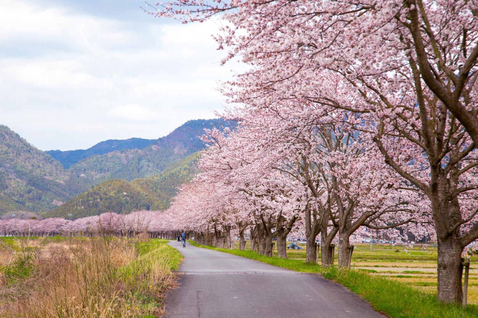 Satoyama Hotel Kanenone Tamba Maibara Eksteriør billede